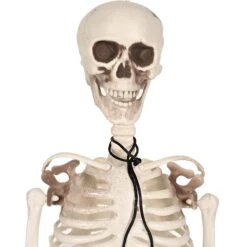 Halloween Plastic Skeleton 8 Halloween Plastic Skeleton -Bulk Party Supplies Shop 00495 i1 40d92d80 1118 4bcb 87bd dbce78e07594