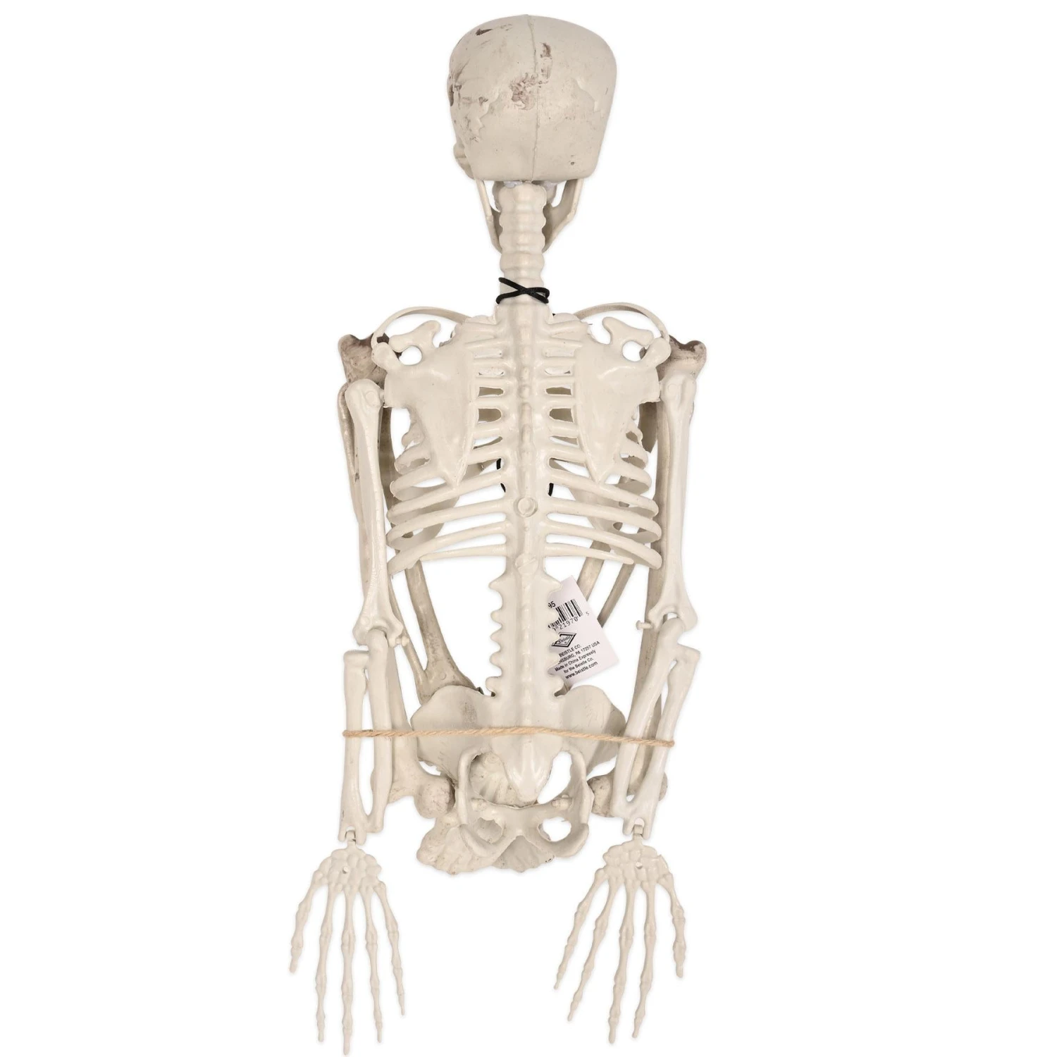 Halloween Plastic Skeleton 5 Halloween Plastic Skeleton - Image 5