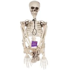Halloween Plastic Skeleton 9 Halloween Plastic Skeleton -Bulk Party Supplies Shop 00495 i3 3502a4ef 1e00 493f b1ba 8a7325f96274
