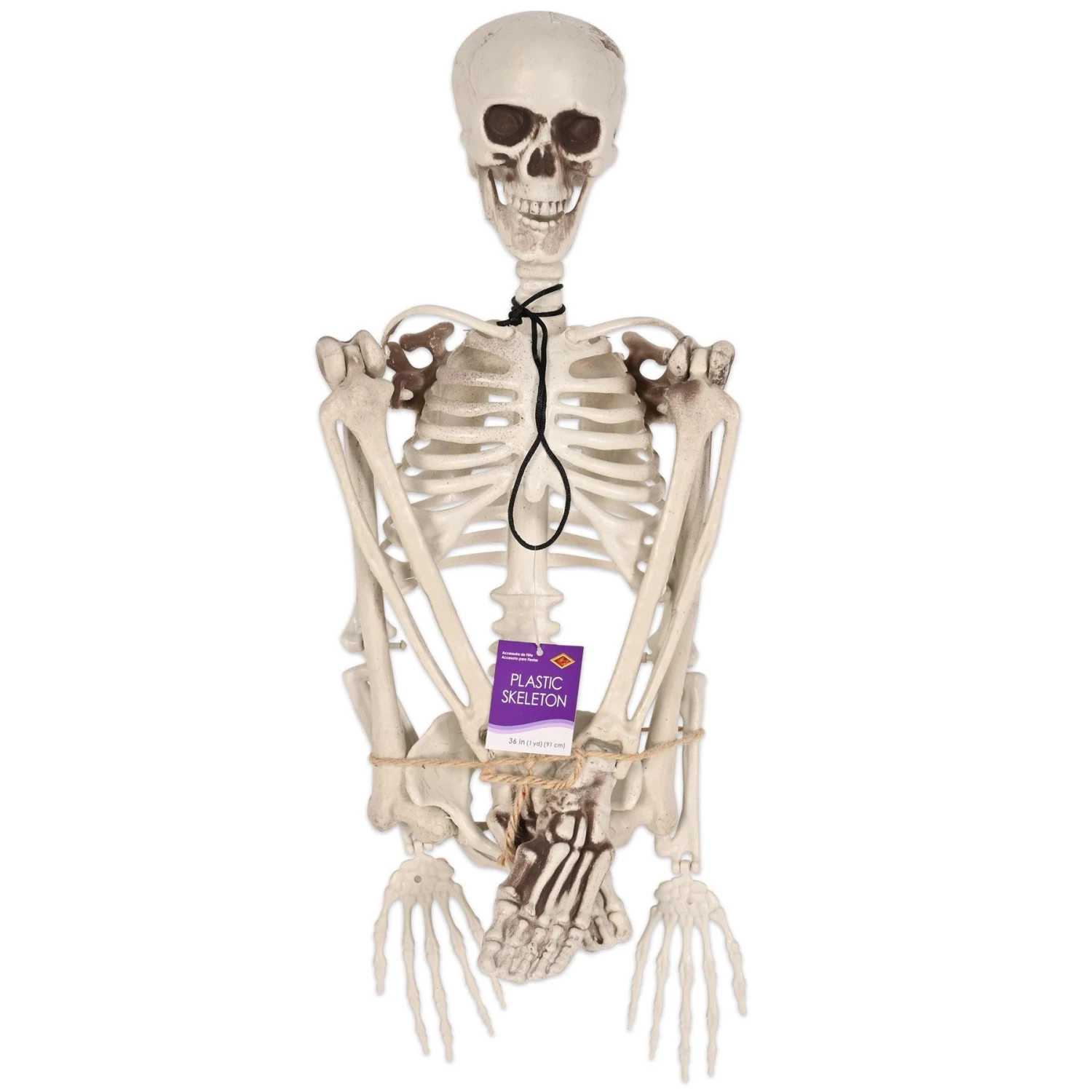 Halloween Plastic Skeleton 3 Halloween Plastic Skeleton - Image 3