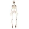 Halloween Plastic Skeleton -Bulk Party Supplies Shop 00495 57525464 5ce5 4d89 9f38 8d3d71d6943d