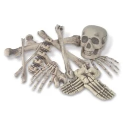 12 Piece Halloween Bag 'O Bones