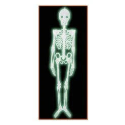 Halloween Plastic Nite-Glo Skeleton