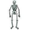 Halloween Jointed Skeleton Decoration (2 Per Package)