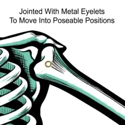 Halloween Jointed Skeleton Decoration (2 Per Package) -Bulk Party Supplies Shop 01084 i1 1