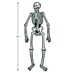 Halloween Jointed Skeleton Decoration (2 Per Package) -Bulk Party Supplies Shop 01084 i5