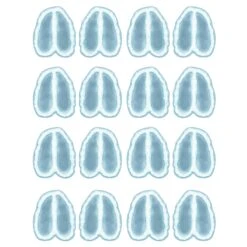 Bulk Party Supplies Shop 18 Christmas Reindeer Footprints Peel 'N Place Clings (1 Sheet Per Package)