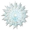 Christmas Packaged Dip-Dyed Snowflakes (2 Per Package) -Bulk Party Supplies Shop 20372