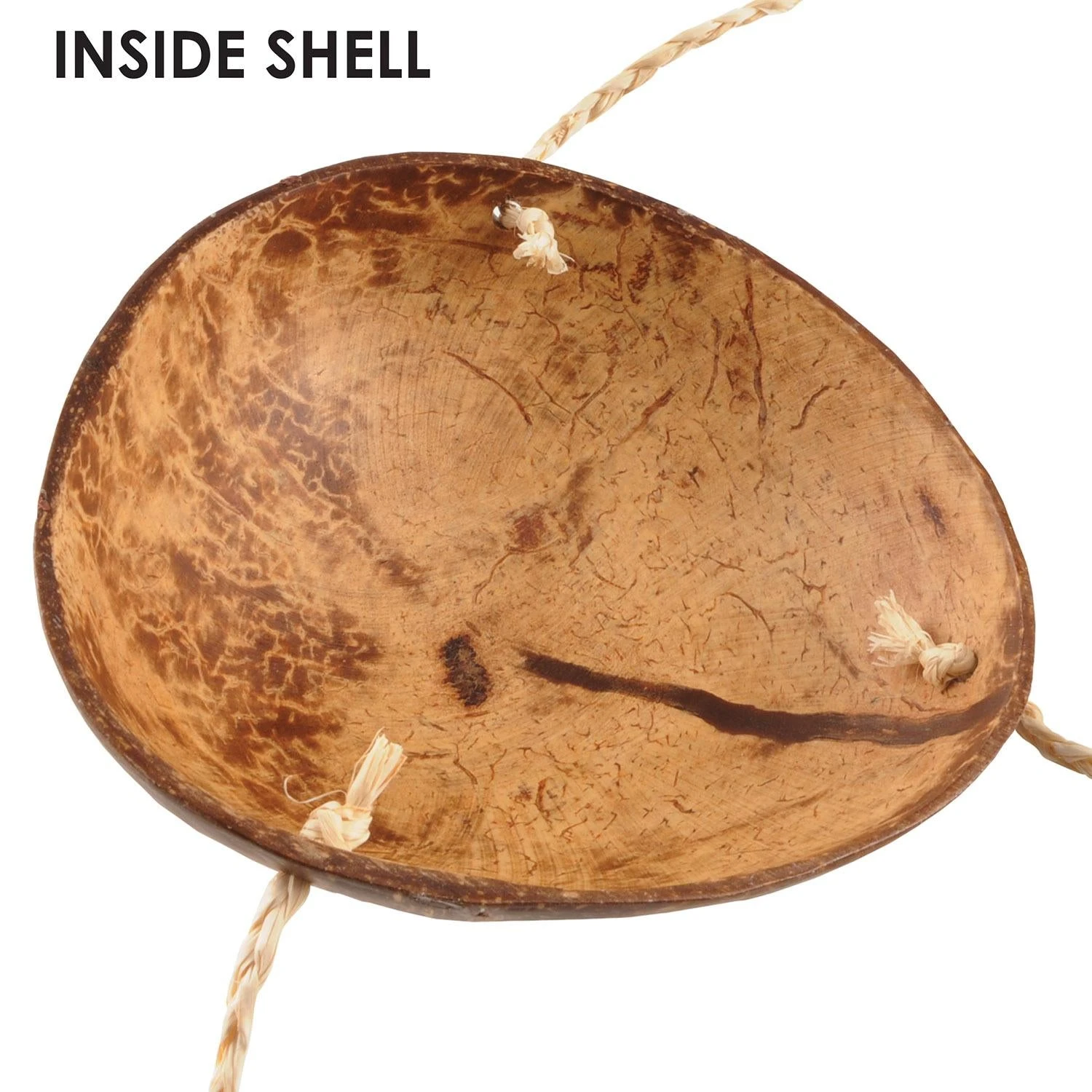 Luau Party Coconut Bikini Top 2 Luau Party Coconut Bikini Top - Image 2