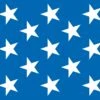 Patriotic Stars Party Backdrop -Bulk Party Supplies Shop 52085