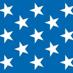 Patriotic Stars Party Backdrop