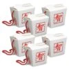 Asian Party Favor Boxes - Pint (6 Per Package) -Bulk Party Supplies Shop 53579