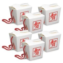 Asian Party Favor Boxes - Pint (6 Per Package)
