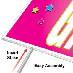 Plastic Birthday Party Girl Yard Sign 8 Plastic Birthday Party Girl Yard Sign -Bulk Party Supplies Shop 53897 i1 1 bd3018ea ab15 4e9b 9ea4 46bf19fa01b5