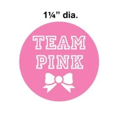 Team Blue/Team Pink Stickers (2 Sheets Per Package) -Bulk Party Supplies Shop 54056 i5 1