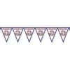 Soccer Party Pennant Banner - France -Bulk Party Supplies Shop 54478 FRA