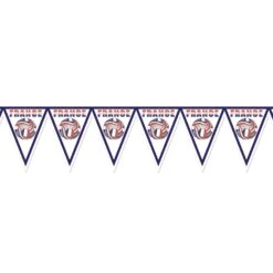 Soccer Party Pennant Banner - France
