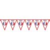 Soccer Party Pennant Banner - United States