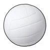 Volleyball Party Cutout -Bulk Party Supplies Shop 55087