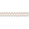 Packaged Party Pageant Garland - White -Bulk Party Supplies Shop 55181 W