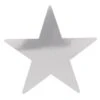 15 Inch Foil Star Party Cutout-Silver