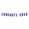 Purple Foil Congrats Grad Streamer (1 Per Package) -Bulk Party Supplies Shop 56459 PL