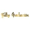 Foil Feliz Graduación Streamer (1 Per Package) -Bulk Party Supplies Shop 58314