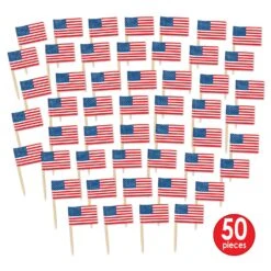 Packaged U S Flag Party Picks (50 Per Package) -Bulk Party Supplies Shop 60100 i4 93202ef1 1560 472c aa31 9fddbacd634f