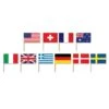 International Flag Party Picks (50 Per Package) -Bulk Party Supplies Shop 60108