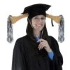 Plush Grad Graduation Party Shaker Cap -Bulk Party Supplies Shop 60241