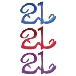 21st Birthday Party Fanci-Frame Glasses