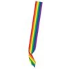 Rainbow Satin Sash -Bulk Party Supplies Shop 60538