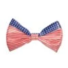 Patriotic Bow Tie 6 Patriotic Bow Tie -Bulk Party Supplies Shop 60577