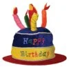 Plush Birthday Party Cake Hat 2 Plush Birthday Party Cake Hat -Bulk Party Supplies Shop 60717