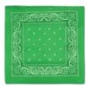 Green Bandana -Bulk Party Supplies Shop 60753 G